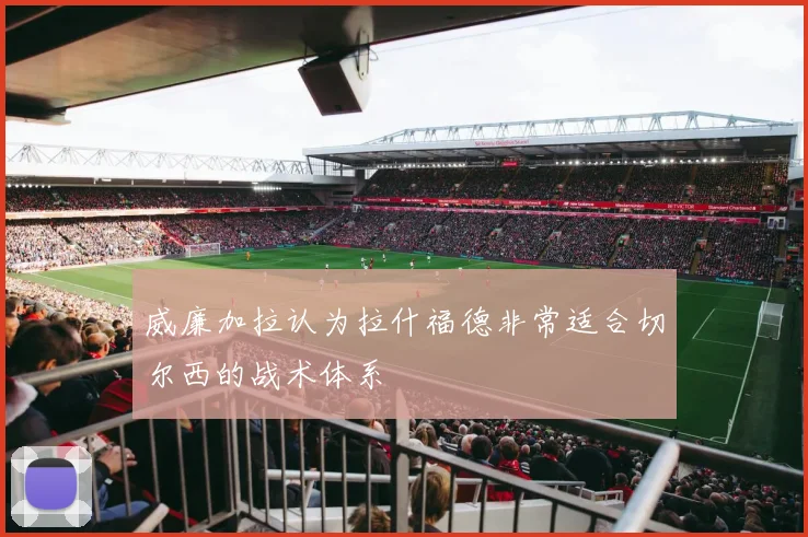 威廉加拉认为拉什福德非常适合切尔西的战术体系