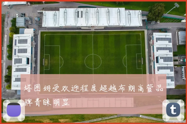 塔图姆受欢迎程度超越布朗高管品牌青睐明显
